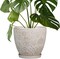 Ceramic Planter with Drainage Hole and Saucer Ceramic Pots - 8 Inch, Petit-flower Petal White